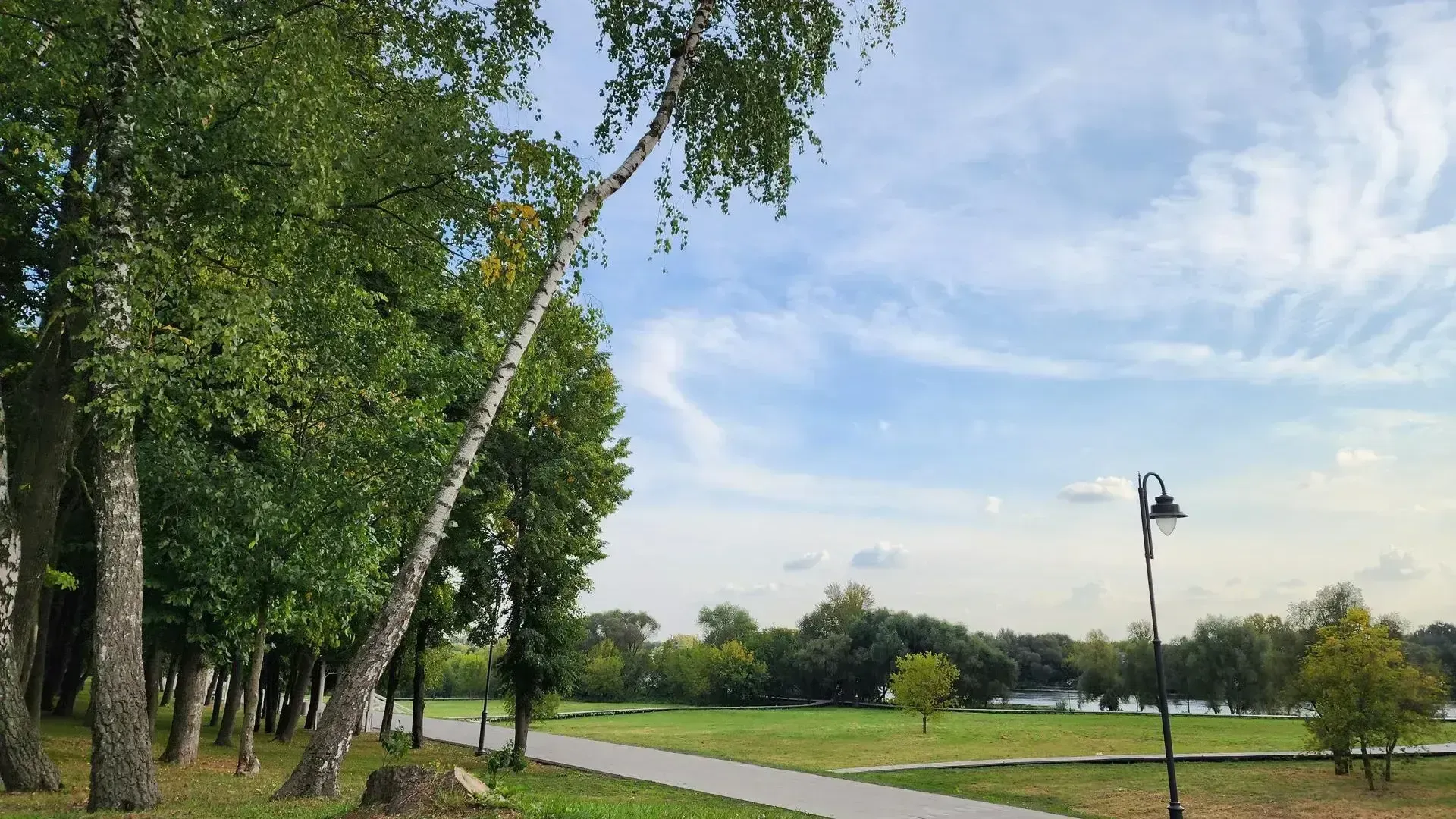 Светлана Плотникова