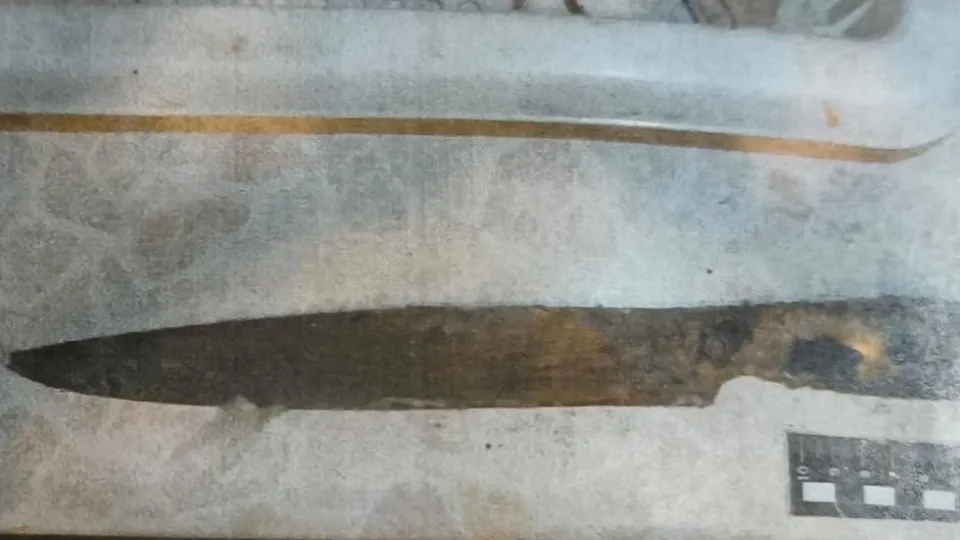 Фото: пресс-служба прокуратуры Московской области