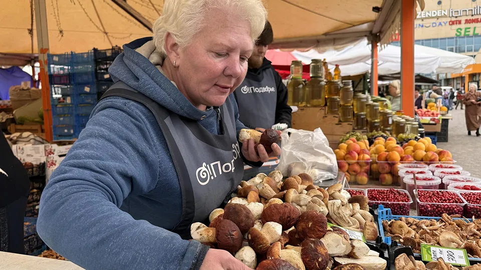 Фото: REGIONS/Мария Шматкова