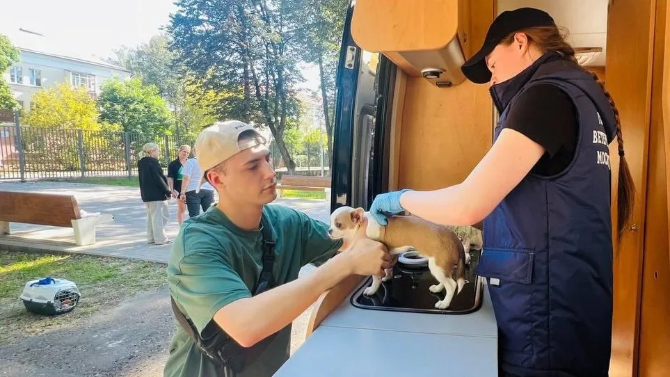 Фото: Пресс-служба администрации городского округа Истра