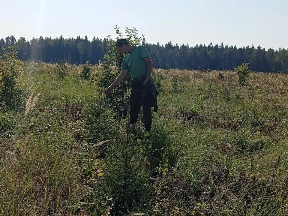 Фото: t.me/mosoblcomles