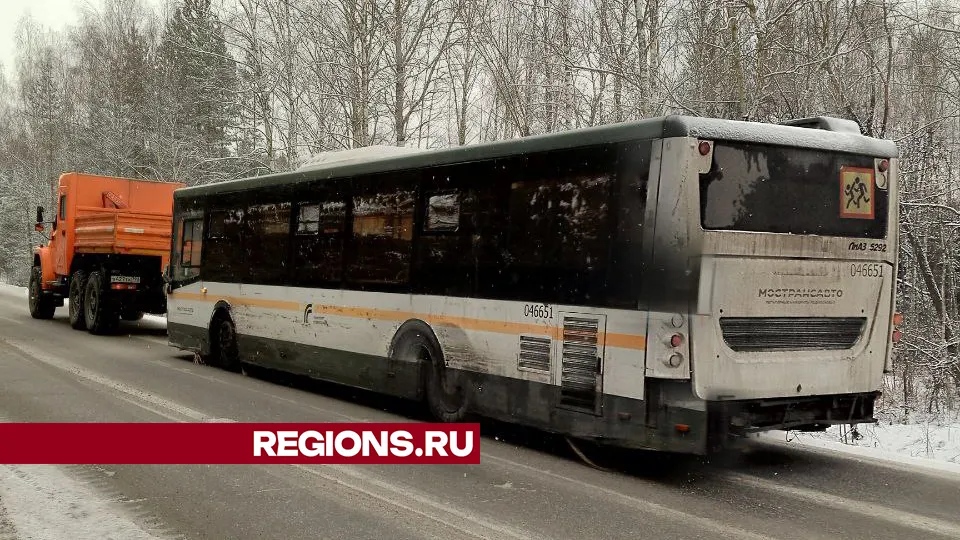 Фото: REGIONS/Василий Тремасов