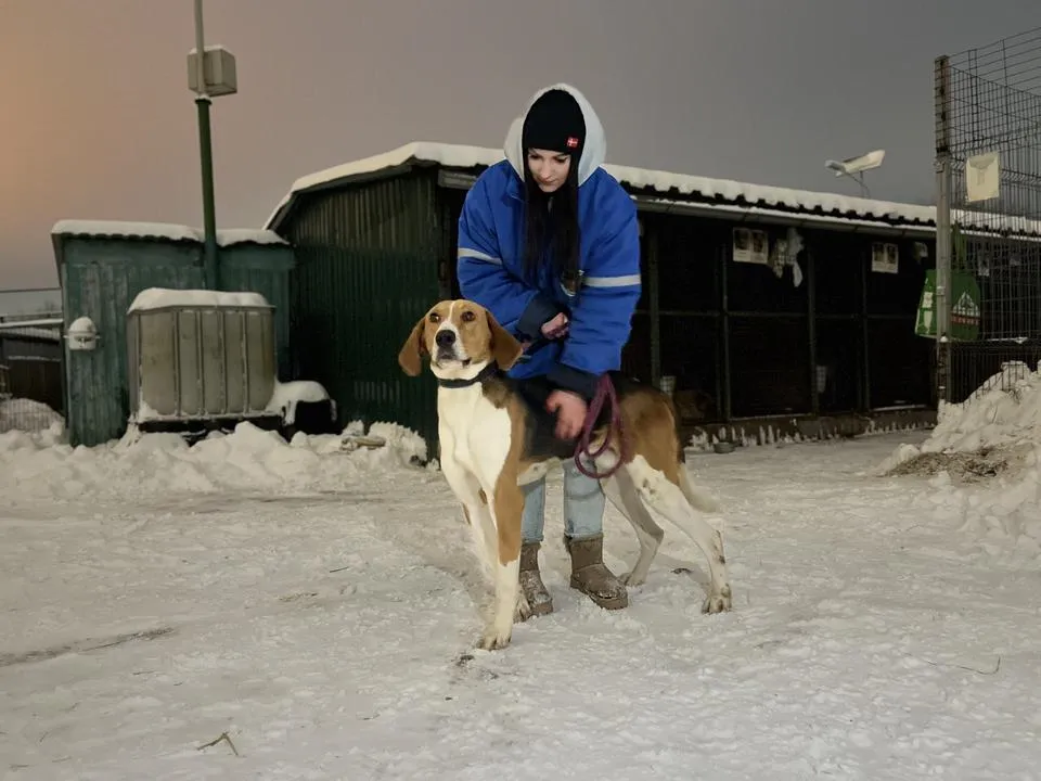 Фото: администрация городского округа Химки
