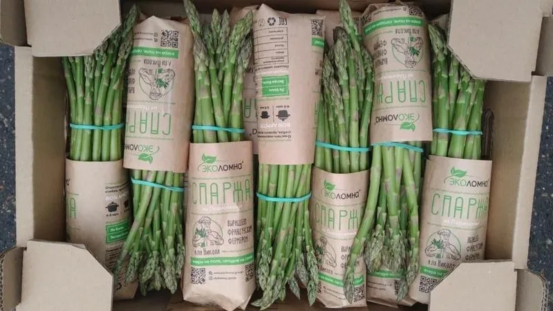 Урожай спаржи начали собирать в Подмосковье