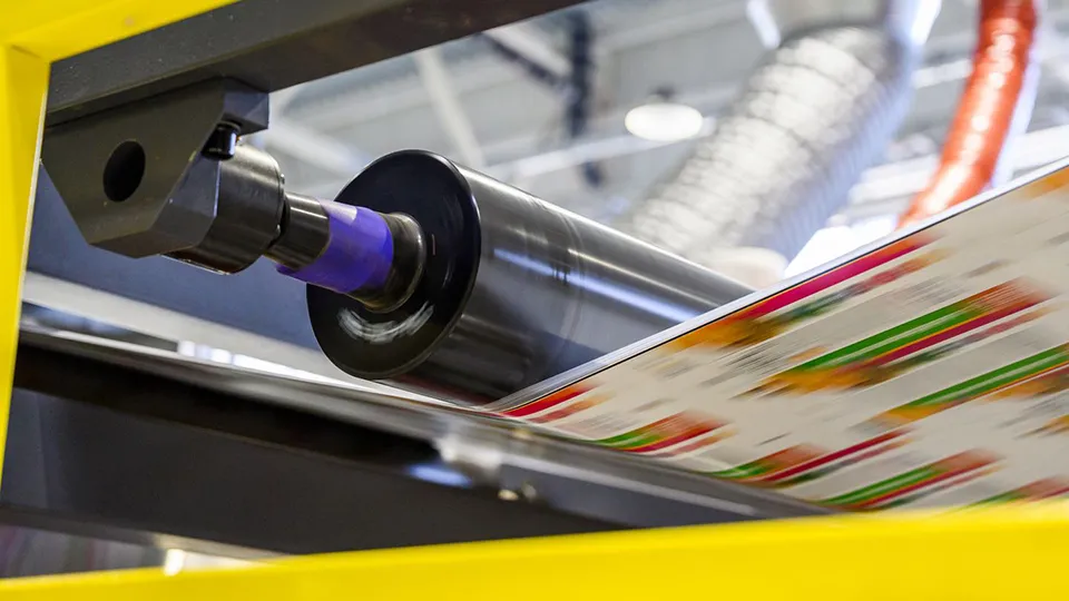 Фото: медиасток.рф