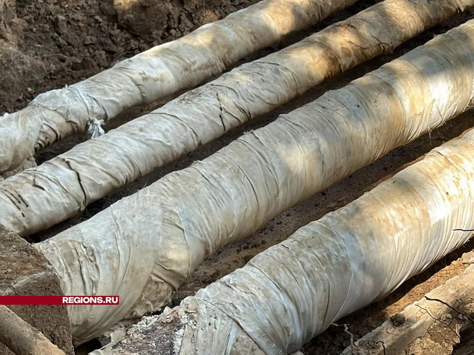 Фото: Мария Шматкова