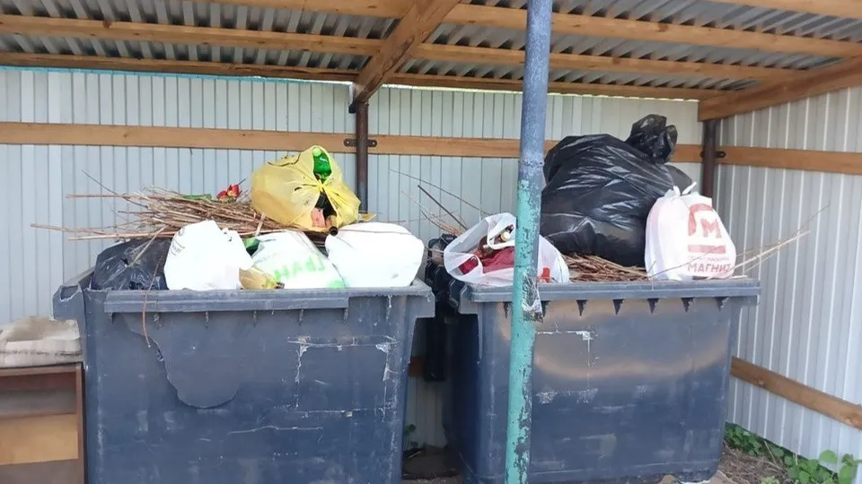 Фото: Анна Светлова