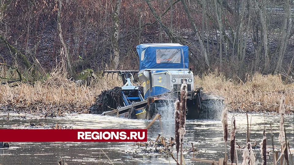 Фото: Роман Савельев