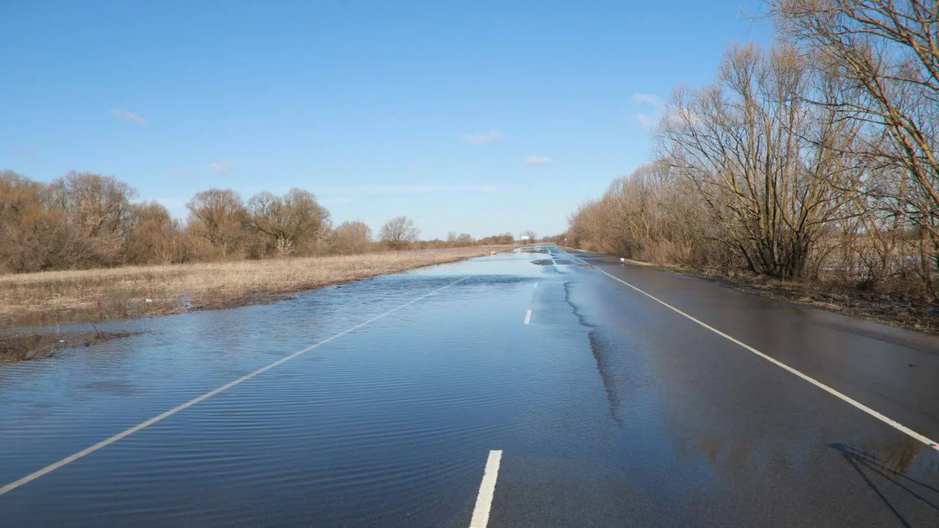 Фото: администрация г.о. Воскресенск