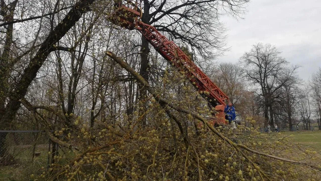 REGIONS/Наталья Надточая