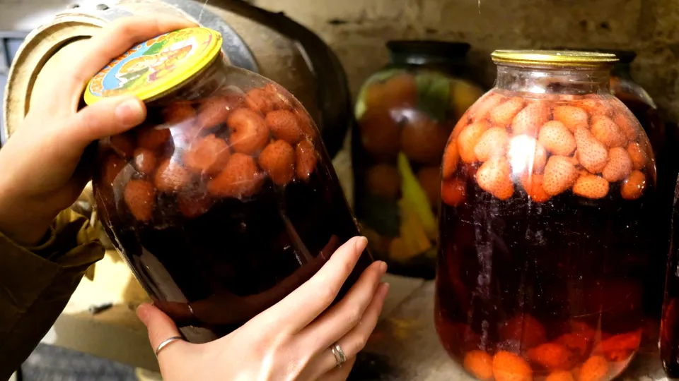 Фото: РИА Новости/Николай Хижняк