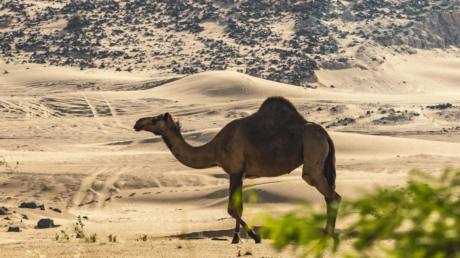 Nikos Katikis/Keystone Press Agency