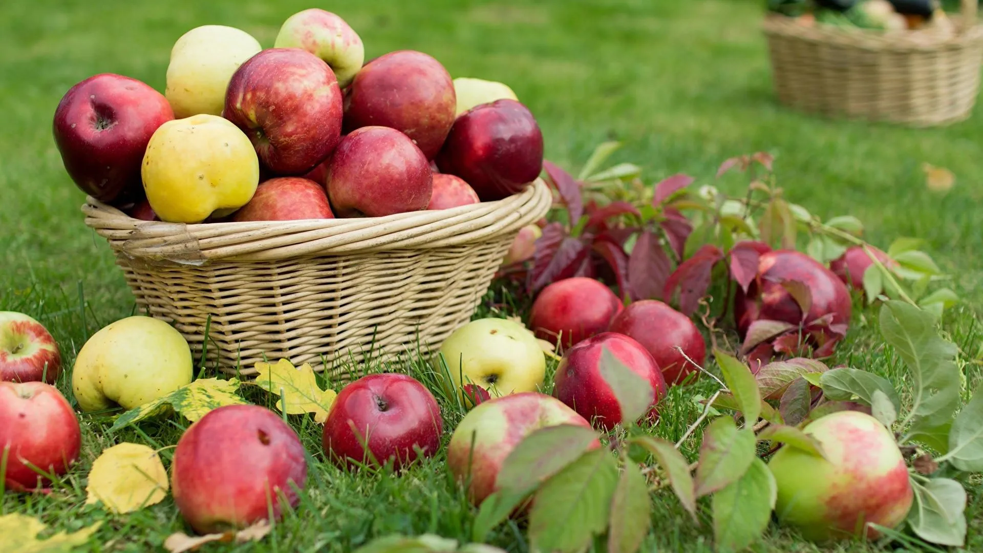 Фото: Pixabay.com