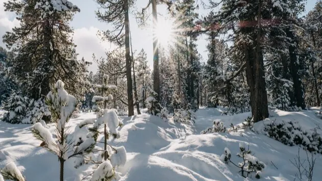 Фото: pxhere.com