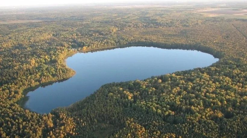 Фото: пресс-служба Министерства экологии и природопользования Московской области