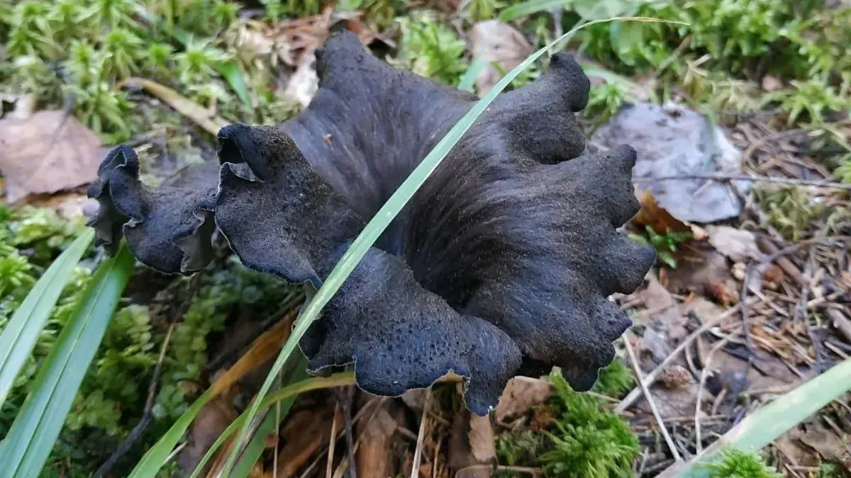 Фото: Вера Жулина