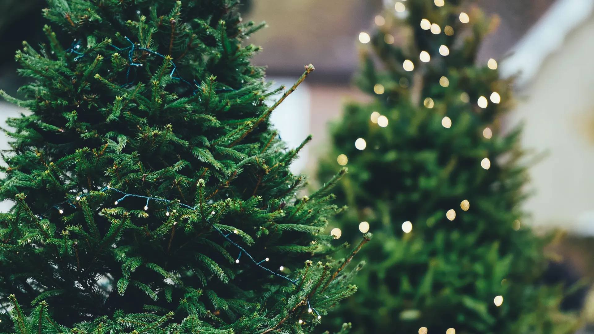 Фото: pxhere.com