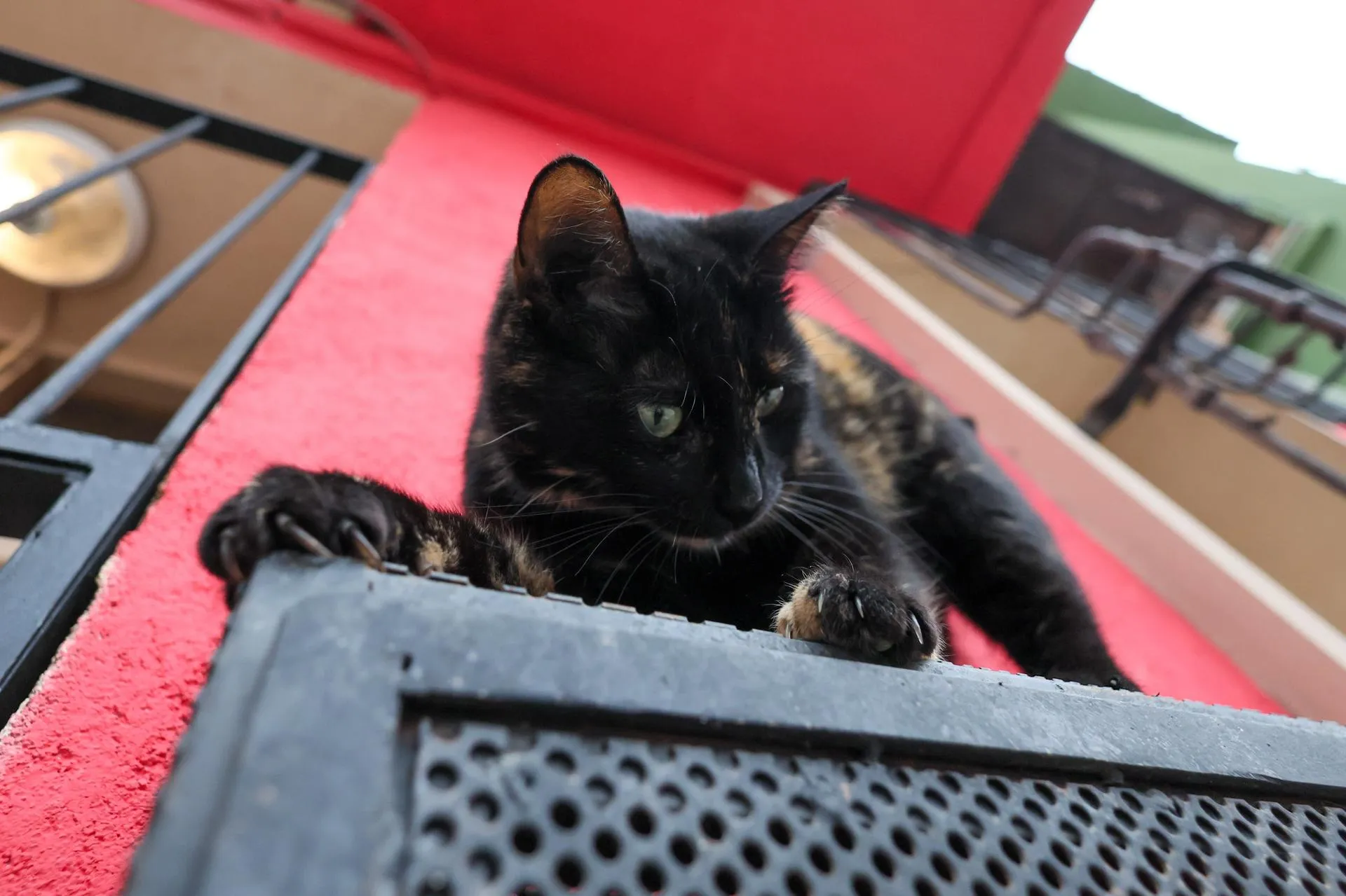 Belkin Alexey/news.ru