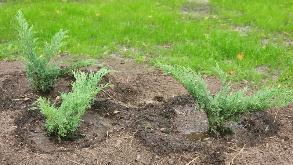 Фото: Медиабанк Подмосковья/Роман Савельев