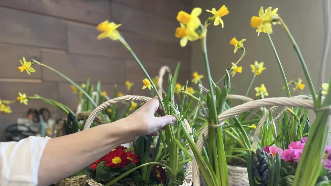 Анна Тюрюмина