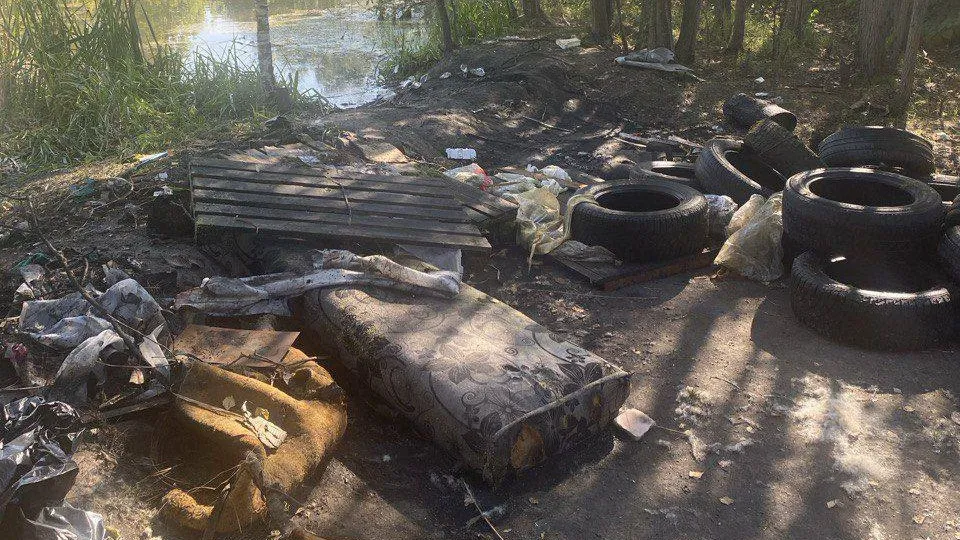 Фото: Пресс-служба администрации городского округа Истра