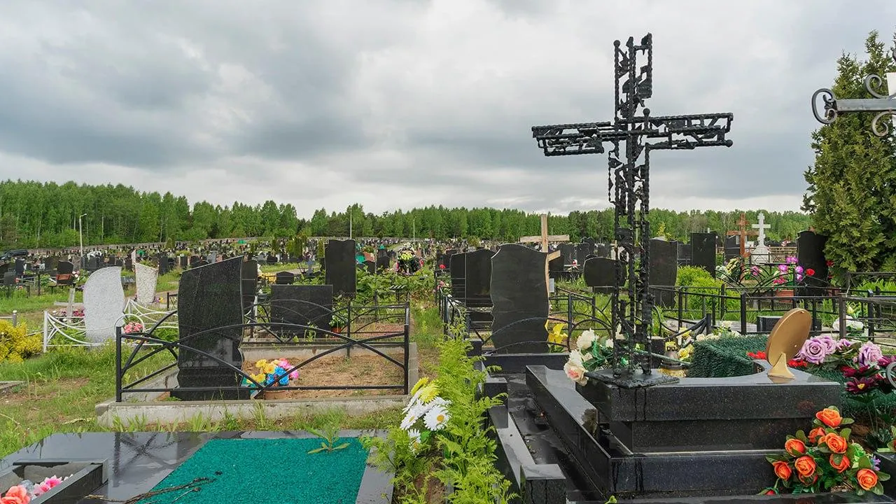 istockphoto.com/Ivan Murauyou