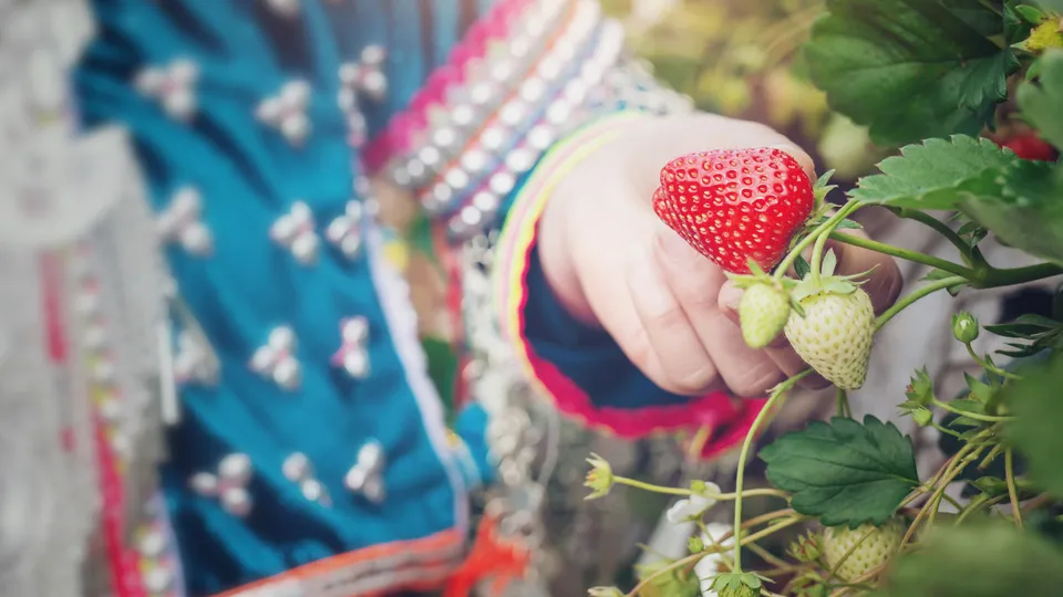 Фото: freepik.com