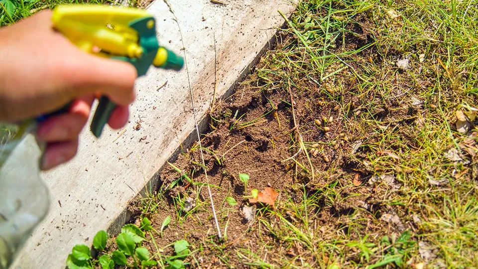 Фото: istockphoto.com