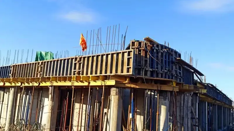 ГКУ МО «ДЗКС»