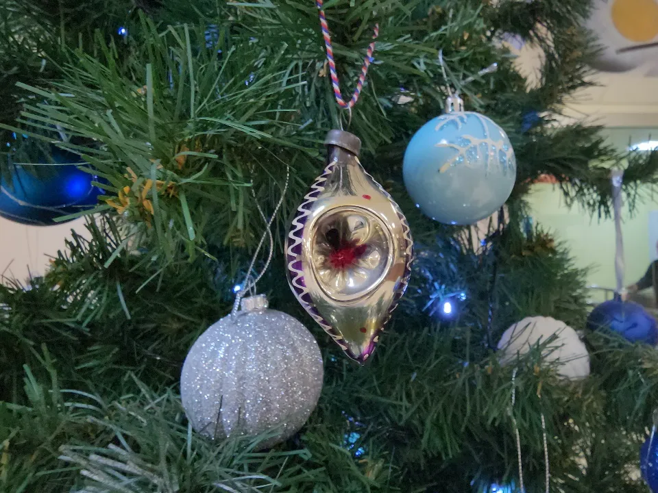 Фото: МедиаБанк Подмосковья/Наталья Лымарь