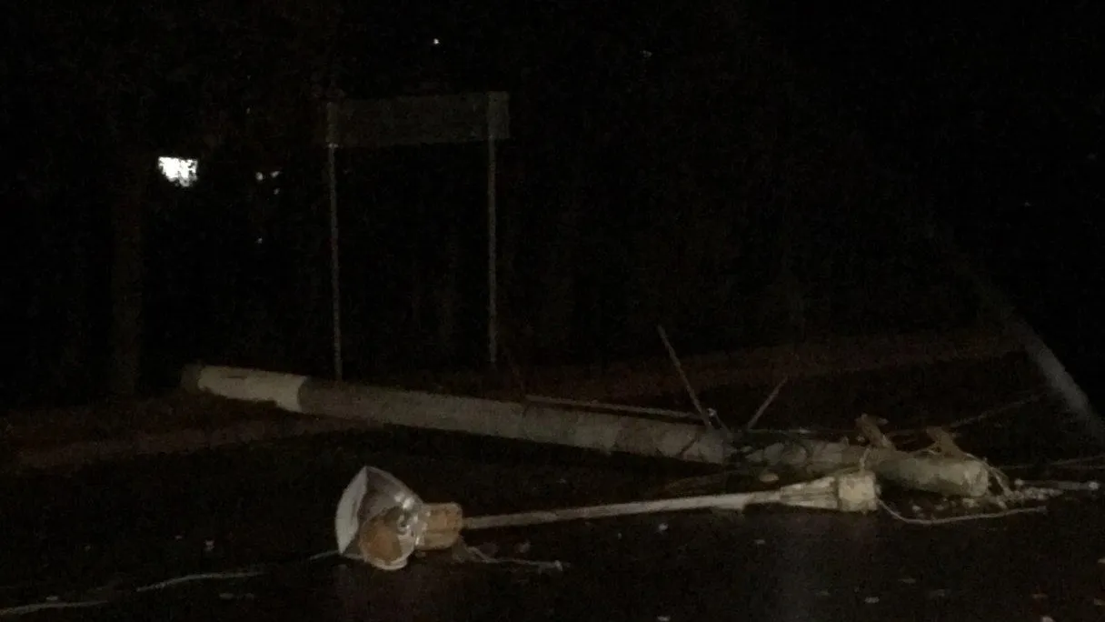 фото: «Чехов вид»