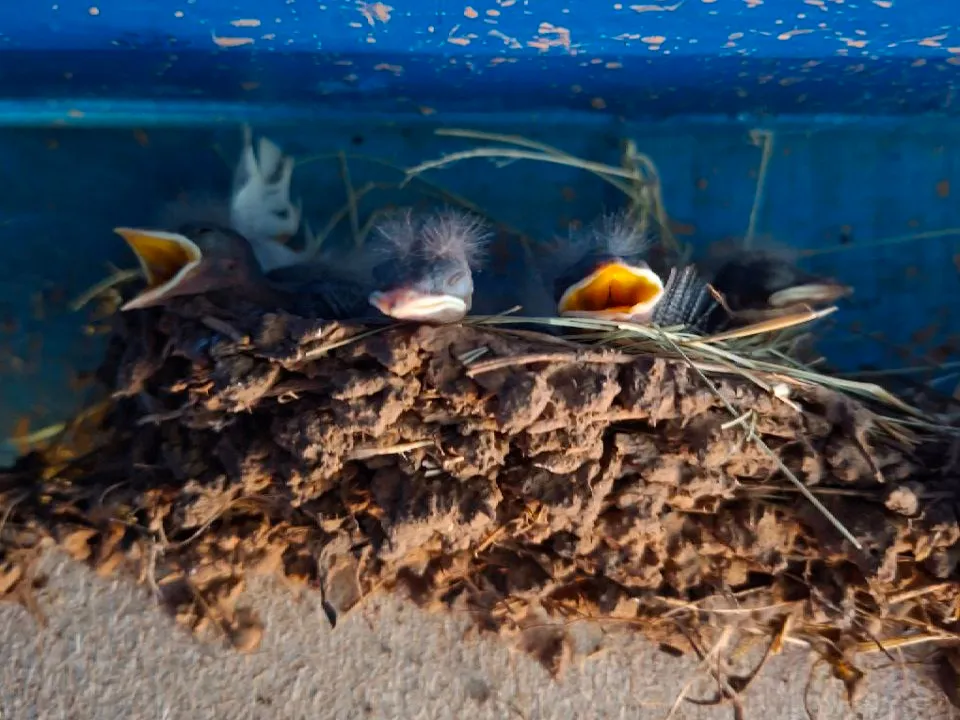 Фото: REGIONS/Юлия Габбасова