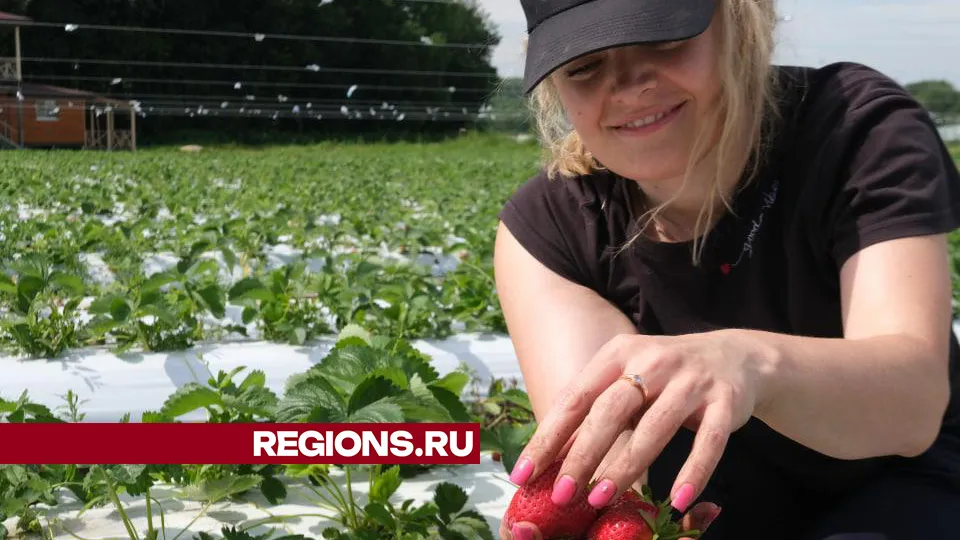 Фото: Мария Панина