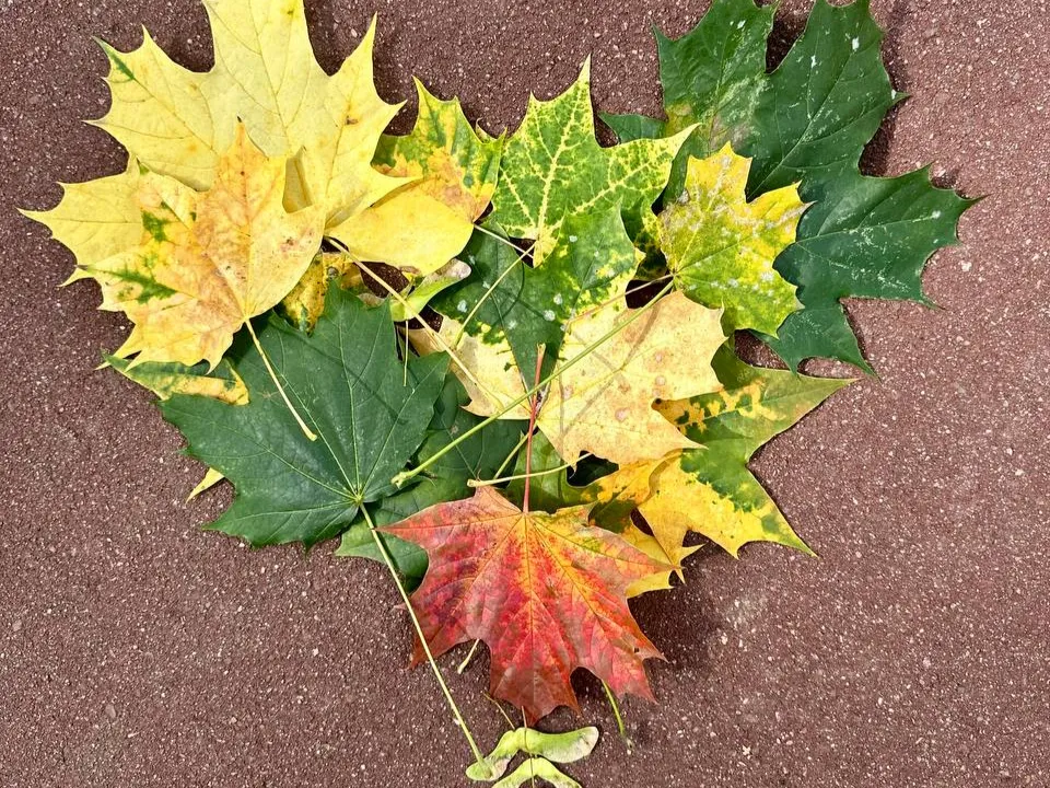 Фото: t.me/museumGorki