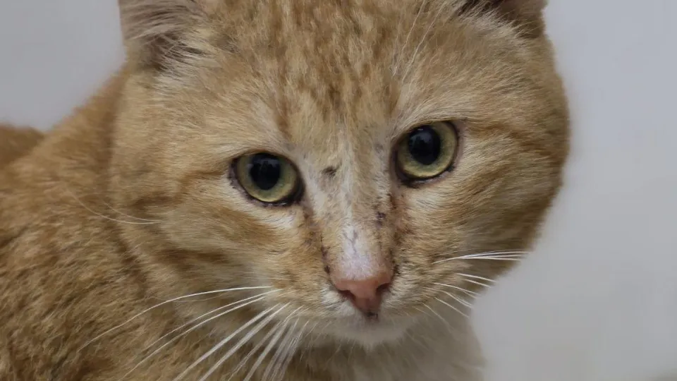 Фото: Яна Шаливская