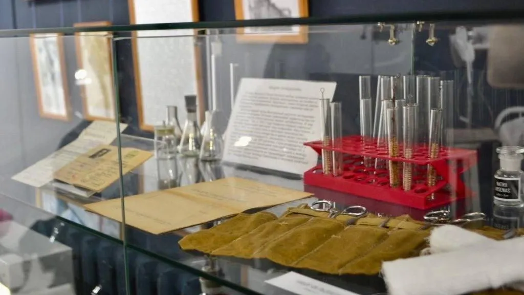 Фото: Пресс-служба администрации г. о. Серпухов