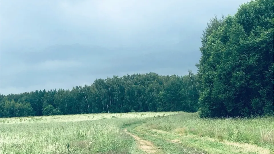 Фото: МедиаБанк Подмосковья/Анастасия Сараева
