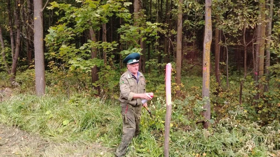 Фото: Комлесхоз МО