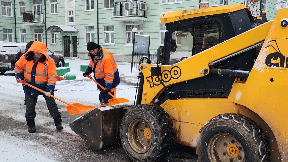 Фото: МедиаБанк Подмосковья/Хавива Фонина