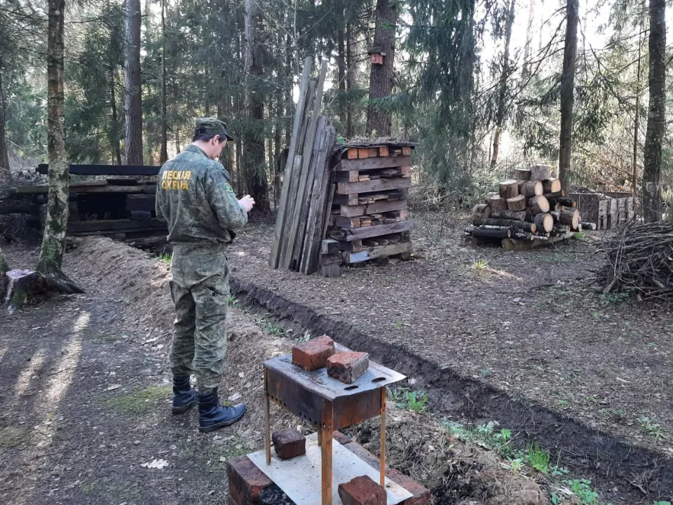 Фото: Комитет лесного хозяйства  Московской области