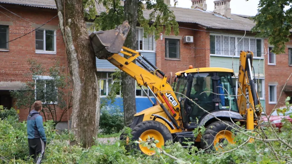 Фото: Татьяна Кострикина