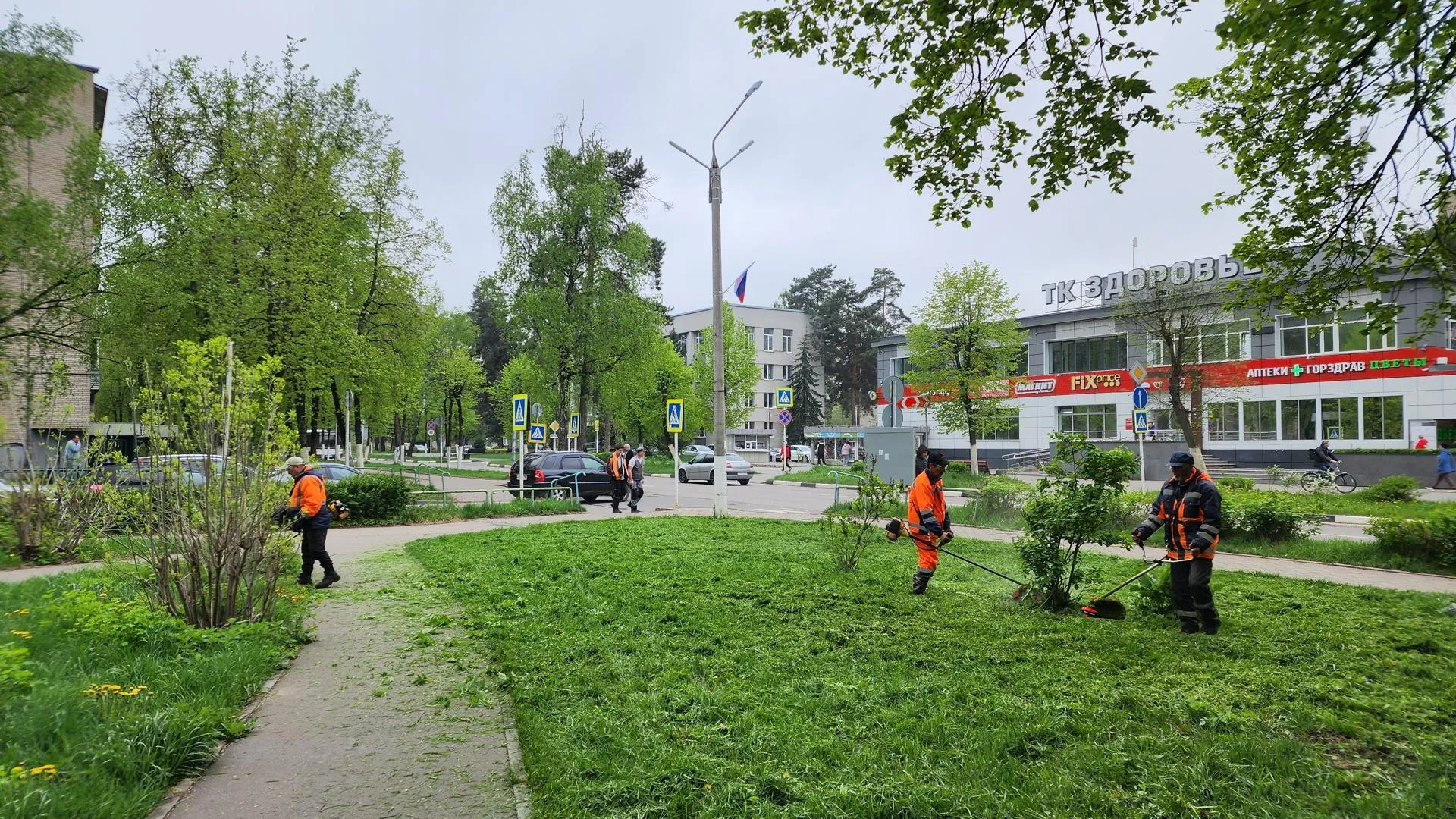 Картинка