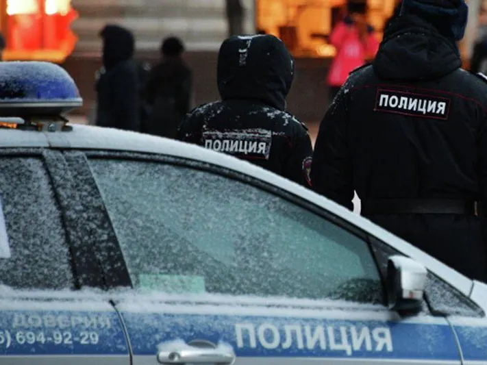 В Госдуме поддержали создание студенческих отрядов в помощь полицейским