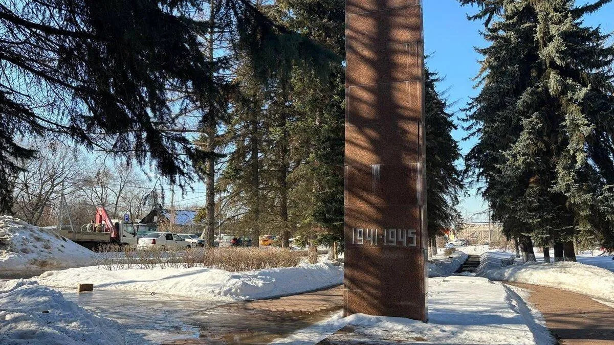 Фото: пресс-служба администрации г. о. Домодедово