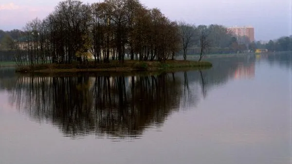 Знаменитые спортсмены и артисты расчистят водоемы Орехово-Зуевского района