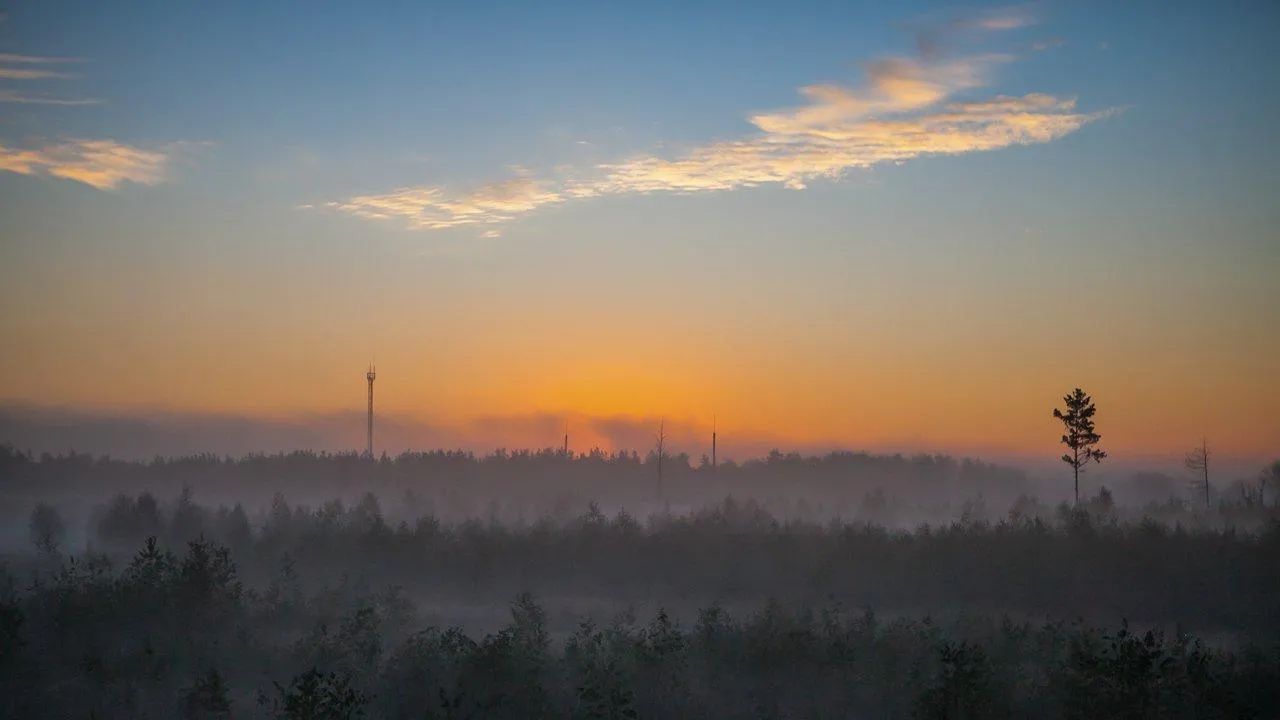 REGIONS/Роман Малышенко