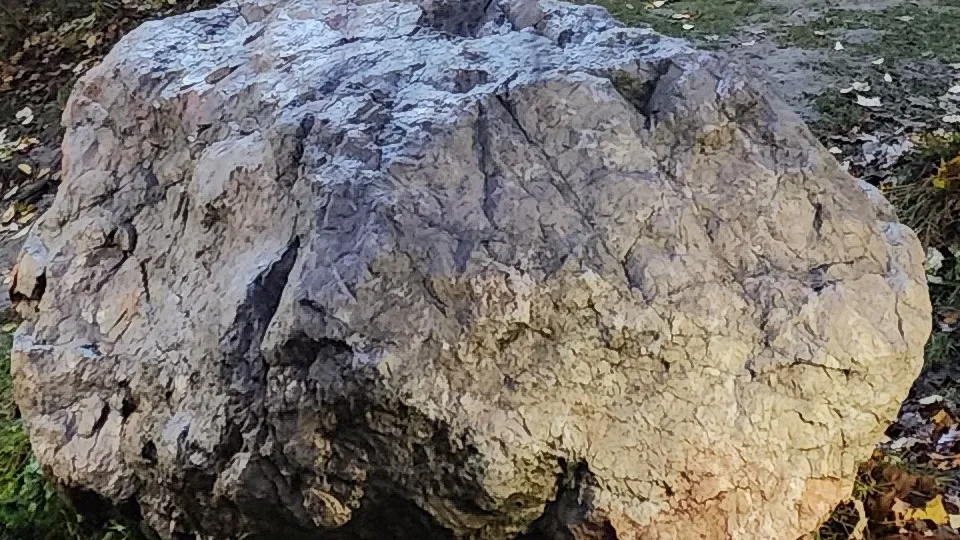 Фото: МедиаБанк Подмосковья