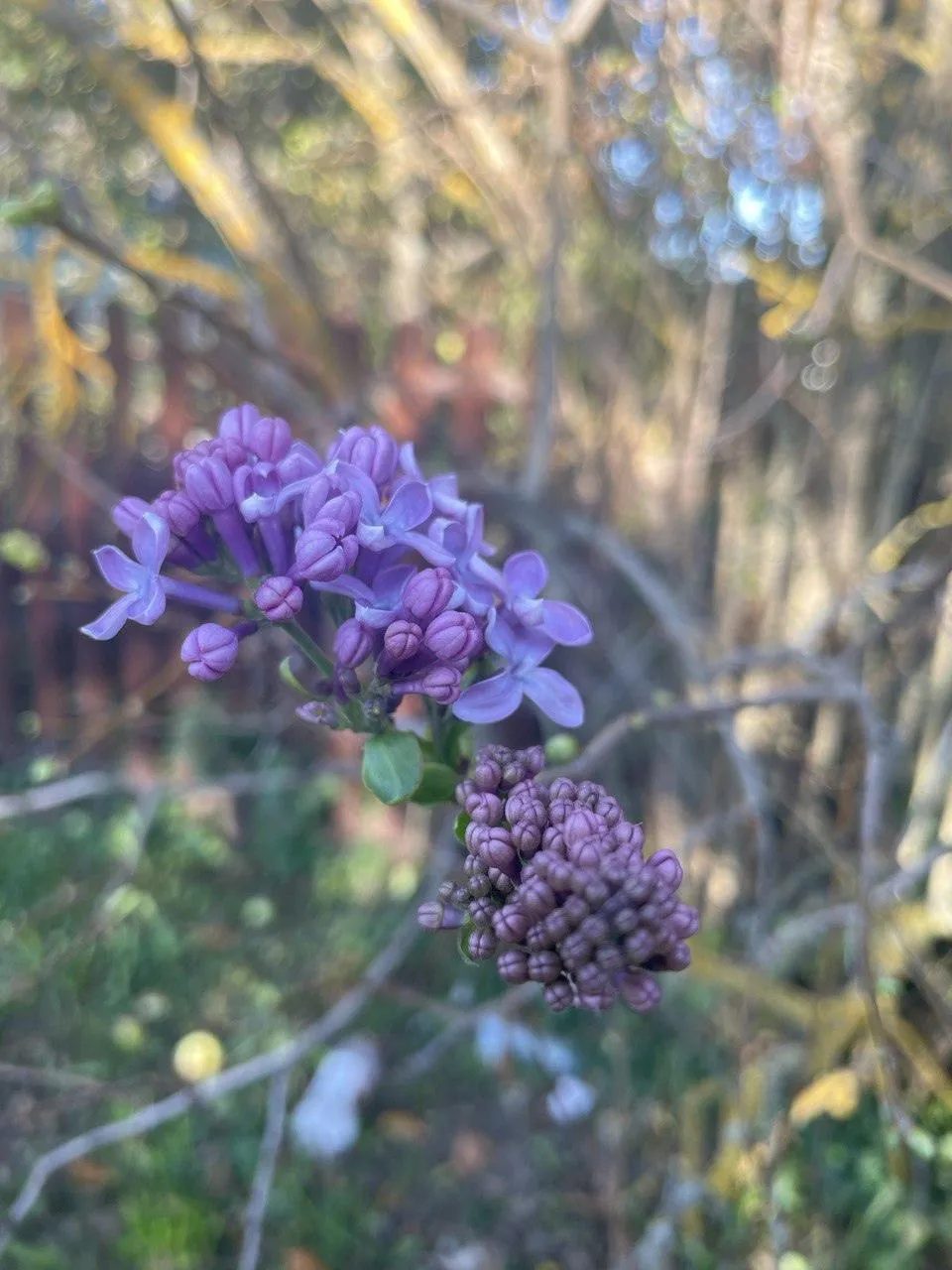 Фото: социальные сети