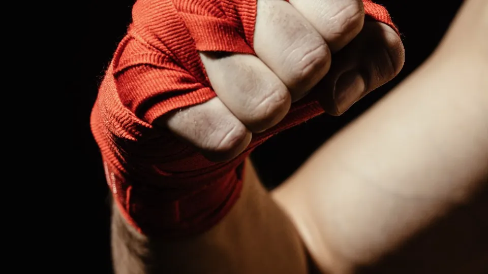 Фото: freepik.com