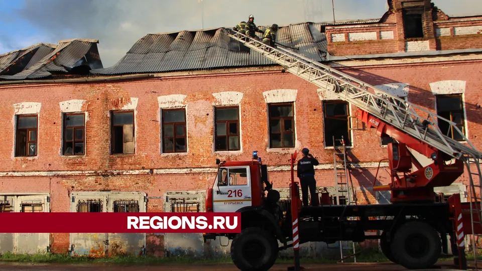 Фото: REGIONS/Василий Тремасов